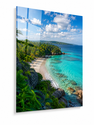 Hidden Paradise: Tropical Cove