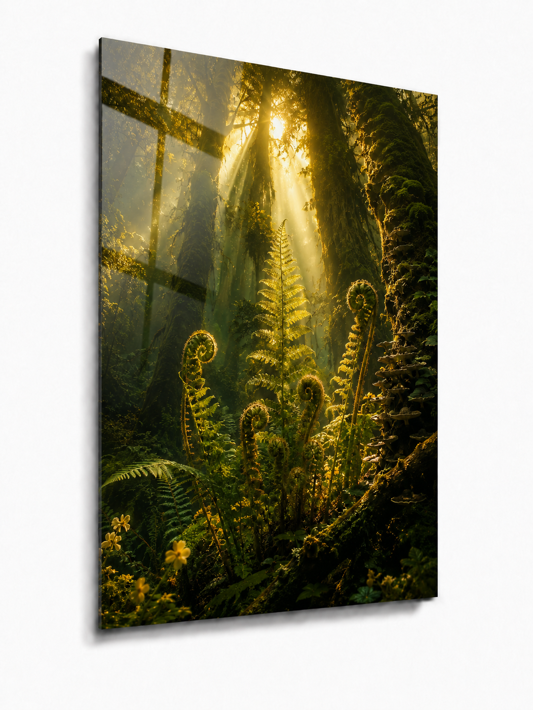 Deep Forest Sunrays