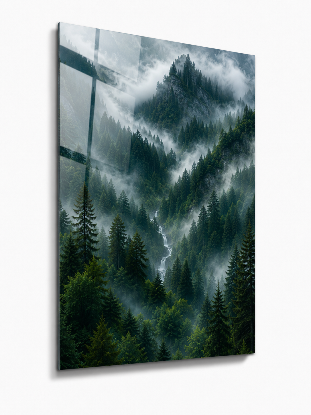Moody Foggy Forest